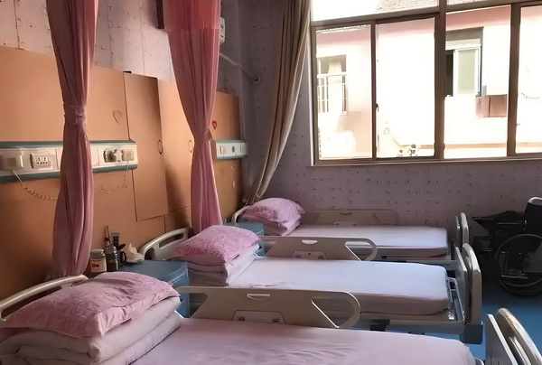 本科生申请深户_《风骚律师》主演想暴打马里奥：把他的胡子撕下来 风骚律师主播一仅开周